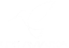 My Website